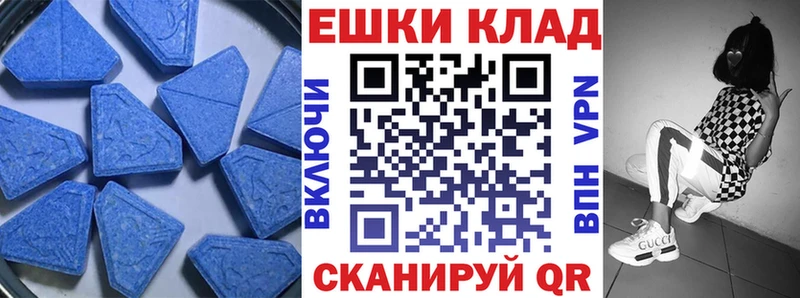 закладки  Онега  KRAKEN зеркало  Ecstasy Philipp Plein 